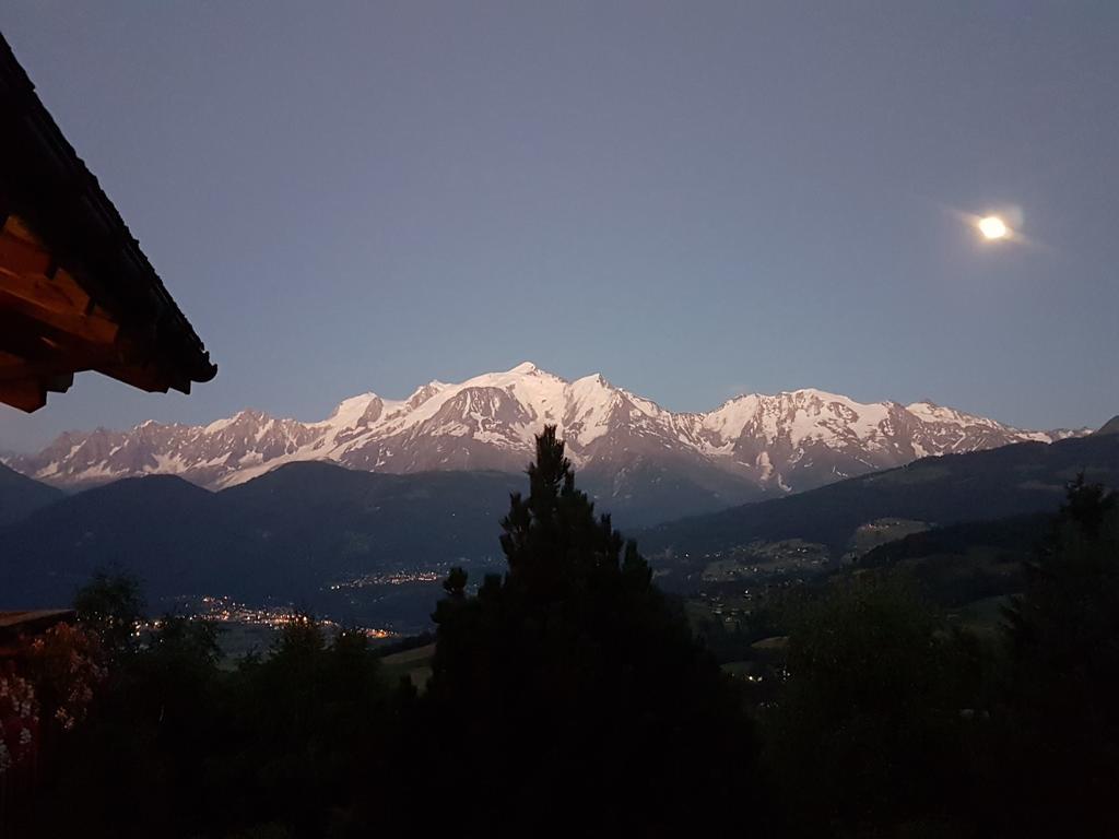 살랑쉬 La Joubarbe Au Balcon Du Mont-Blanc 빌라 외부 사진